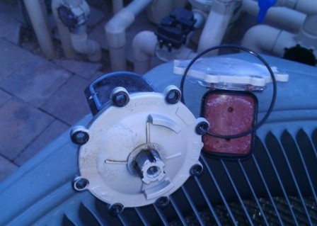 Scottsdale Pool Service