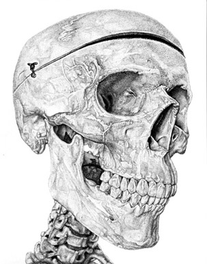 skull (stippling technique)