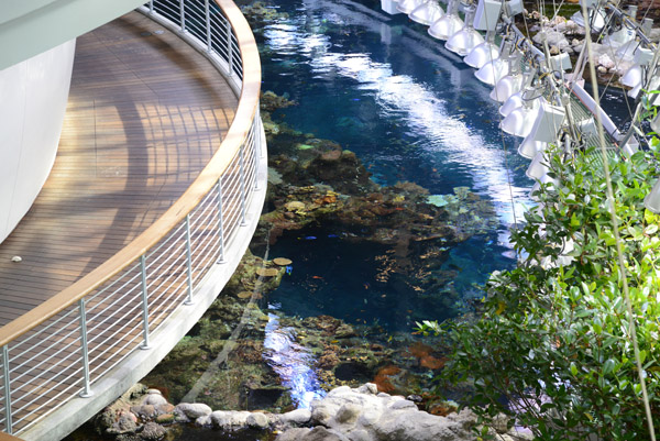 The planetarium sits on top of the Steinhart Aquarium