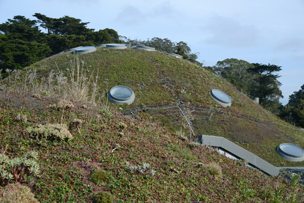 The Living Roof - California Academy of Sciences