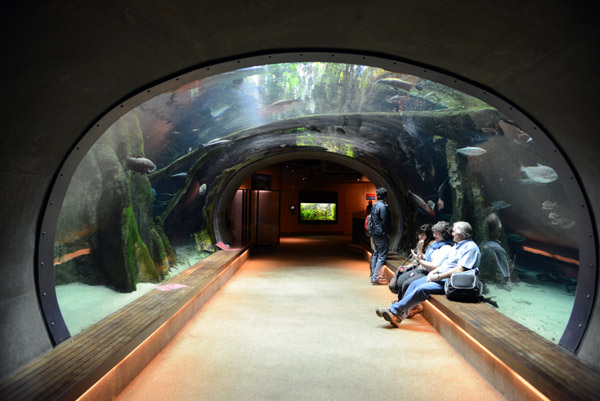 The Amazon Rainforest Aquarium