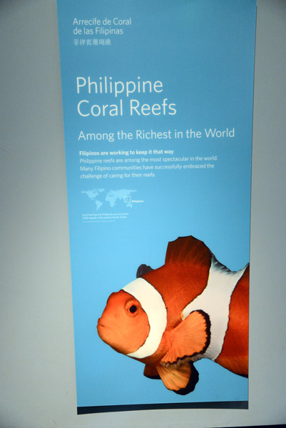 Philippine Coral Reefs 
