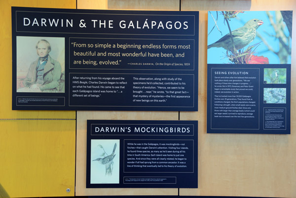 Darwin & the Galapagos