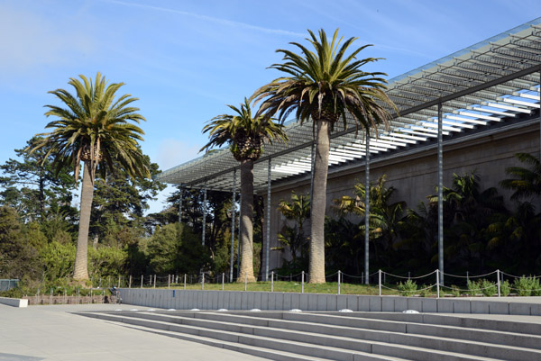 California Academy of Sciences, Golden Gate Park