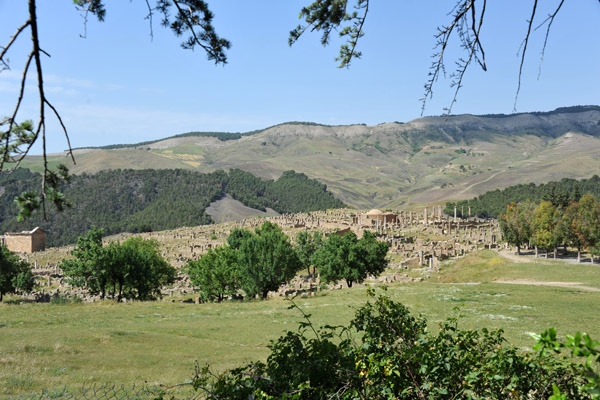 Djmila has a pleasant climate at an elevation of 900m in the hills northeast of Stif