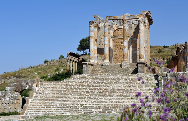 Temple of the Septimus Severus