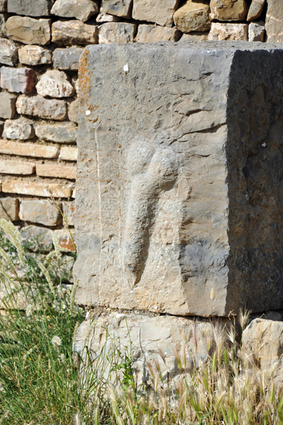 Phallus along the Cardo Maximus, Djmila