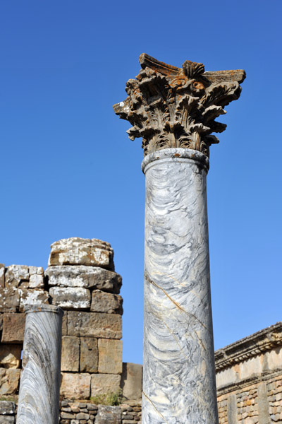 Column, Market of Cosinius