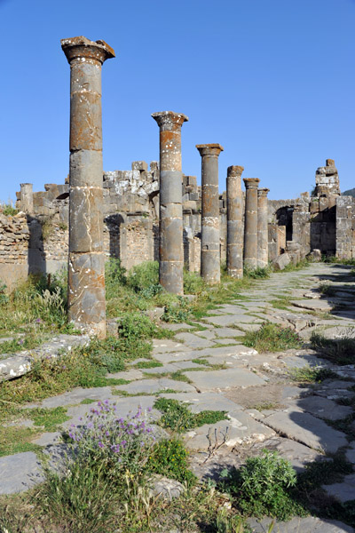 Roman ruins, Djmila