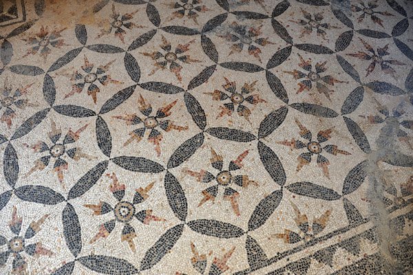 In Situ mosaic, Grand Baths, Djmila