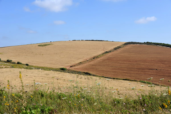 Farmland in the hills around Bouzedjar