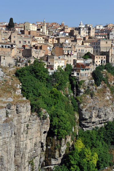 Greenery along the cliffs beneath the Old City, Constantine