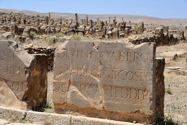 Many Latin inscriptions are scattered around the archeological site of Timgad