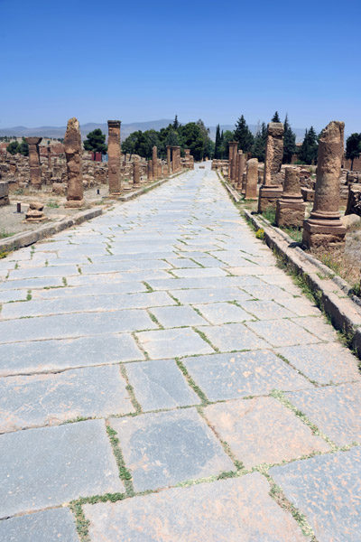 Ancient Roman main street, the Cardo Maximus