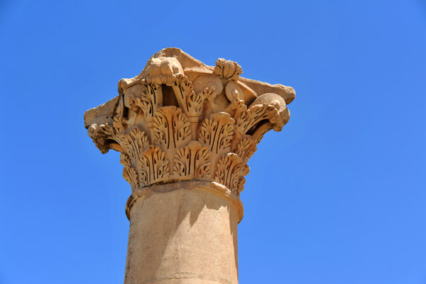 Corinthian column capital, Timgad