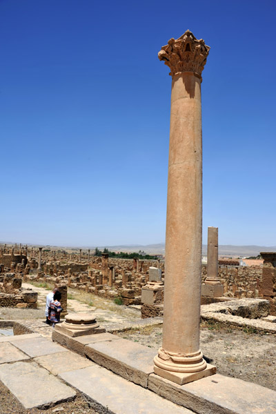 Standing column, Library of Timgad