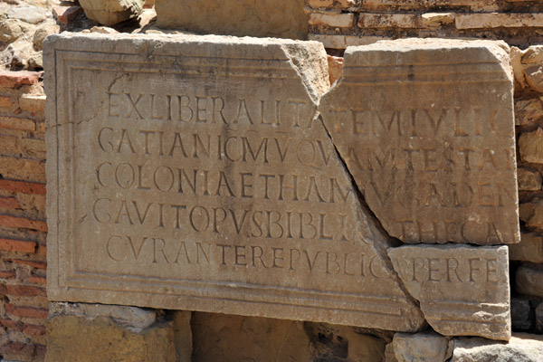 Library of Timgad - Ex Liberalitate ... Coloniae Thamivgad