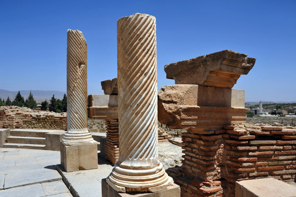 Apparently, of the whole Ancient Roman world, the ruins of public libraries have only been identified at Ephesus and Timgad