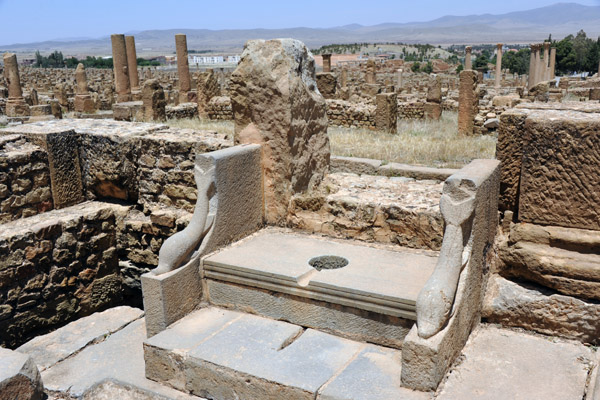 A wide single, Timgad