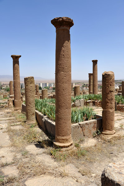 Forum Basilica, from Timgad's brief Christian era
