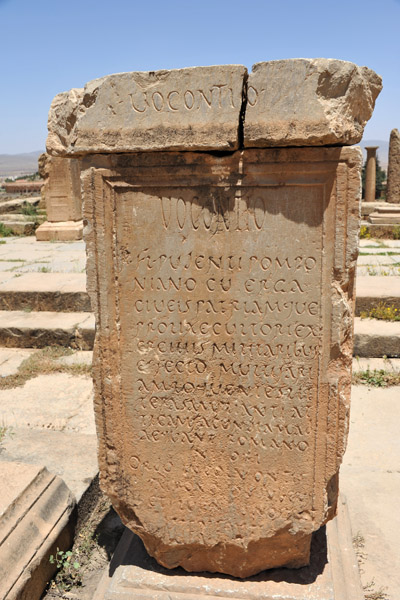 An interesting script compared to standard Latin inscriptions at Timgad