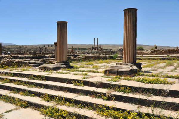 Steps around the Roman Forum, Timgad