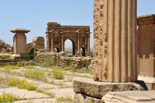 Weeds growing up between the paving stones of the Roman Forum, Timgad