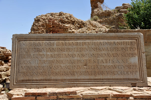 Timgad inscription - Imperatore Caesare Divi Hadriani Filio Divi Traiane Pote Divi Nervae ...