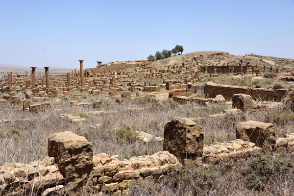 Theatre Hill, Timgad