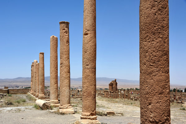 Columns without capitals, Timgad