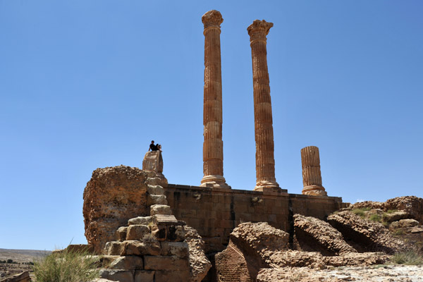 The Capitol was a temple dedicated to Jupiter, Juno and Minerava