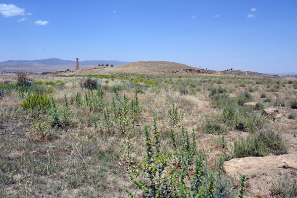 Crossing the meadows between Ancient Timgad and the Byzantine Fort