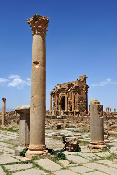 Sertius Market, Timgad