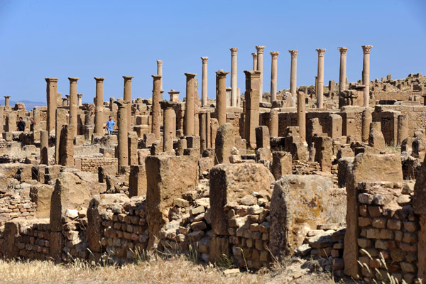 Forrest of columns, Timgad