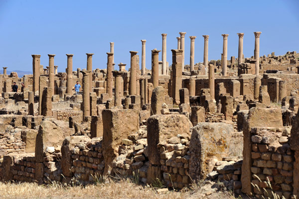 Forrest of columns, Timgad