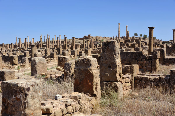 Ruins of ancient Timgad
