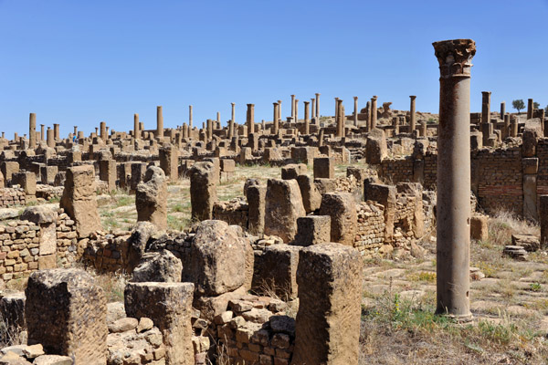 Ruins of ancient Timgad