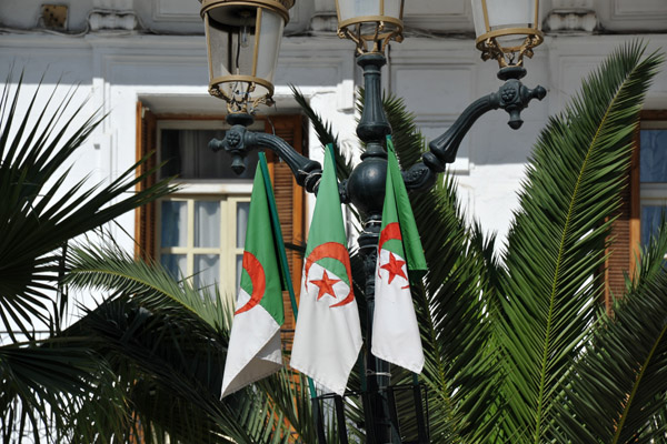 Algerian flags, Place de l'Emir Abdelkader