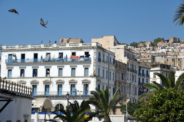 The Lower Casbah for the most part, seems safe enough to walk around