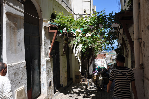 Walking through the Upper Casbah of Algiers escorted by an out-of-uniform policeman and a guide the police arranged
