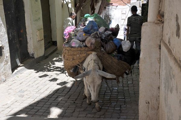 Garbage service in the Upper Casbah of Algiers - an overladen donkey