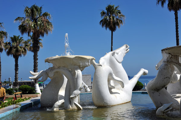 Hippocampus Fountain, Algiers