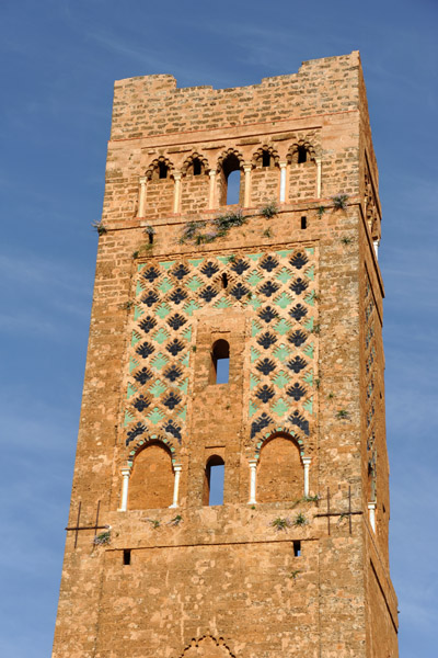 Minaret of Mansourah (Tlemcen)