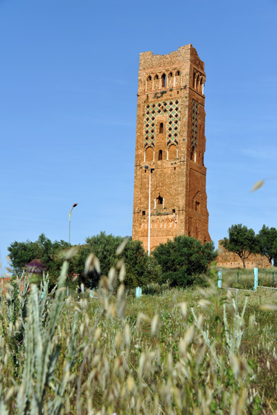 Minaret of Mansourah with wild flowers