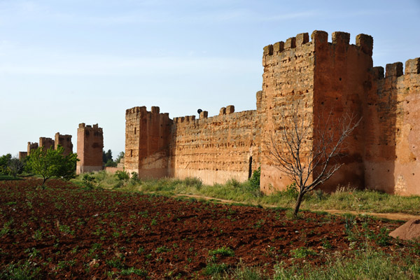 Walls of Mansourah