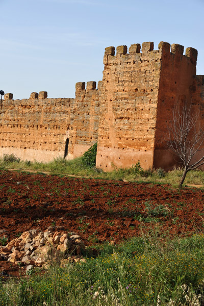 City Walls, Mansourah