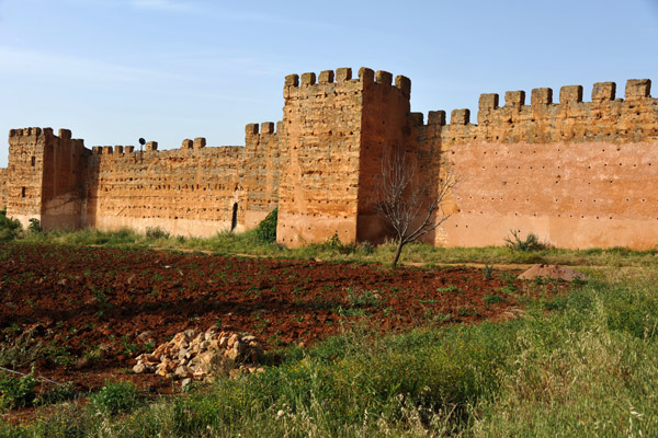City Walls, Mansourah
