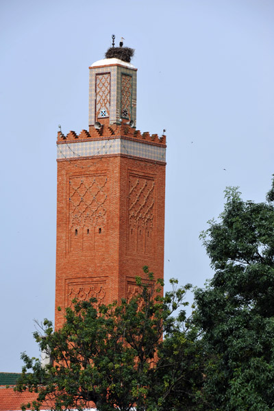 Mosque Sidi Senoussi