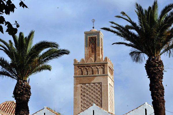 Minaret of the Grand Mosque and palm trees, Tlemcen