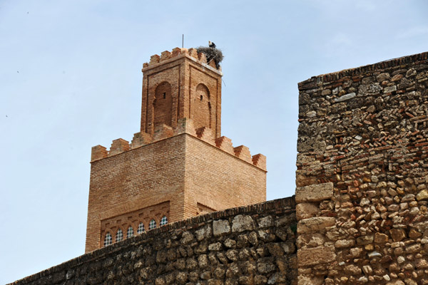 Minaret of the Mechouar from outside the Citadel walls